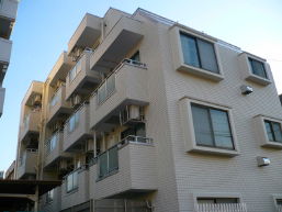 �������k��w MS 1DK